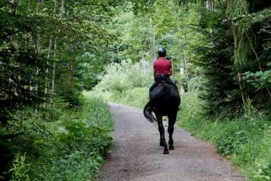 cavalier en balade à cheval dans la forêt