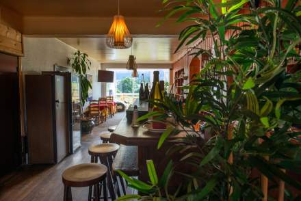 vue du bar avec plante