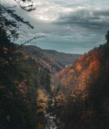 vue panoramique sur la montagne et la forêt